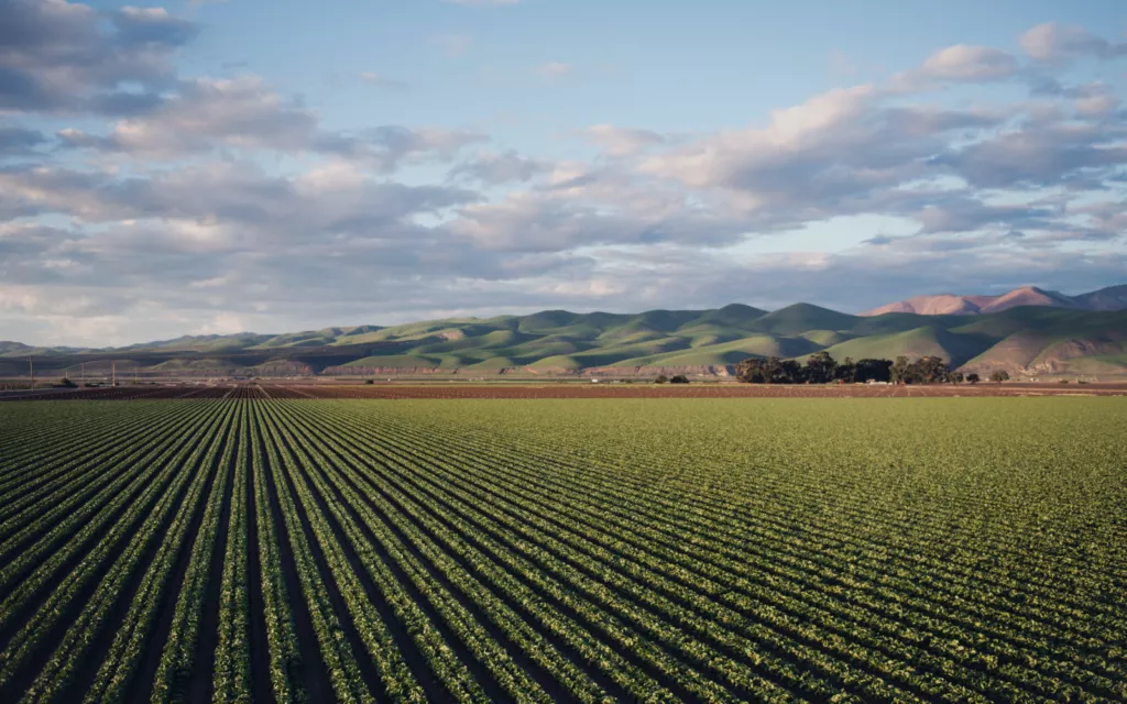 Corporate Commercial